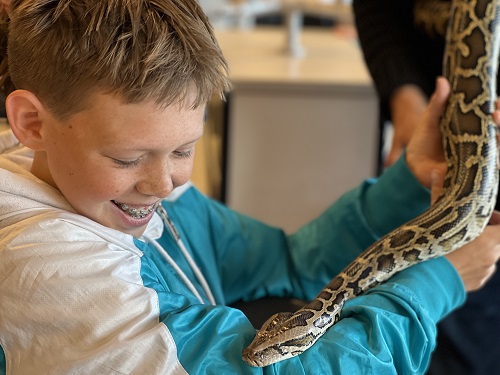 Reptielendag Singelland vhs 2022