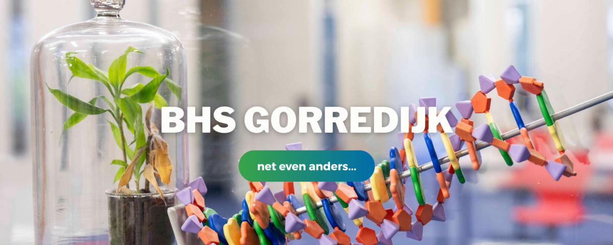Waarom BHS Gorredijk