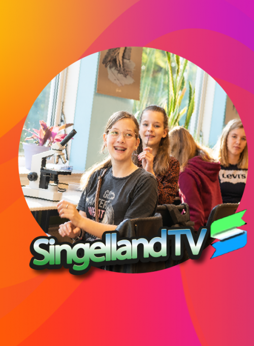 Singelland TV