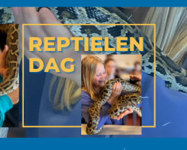 Reptielendag Singelland vhs 2022