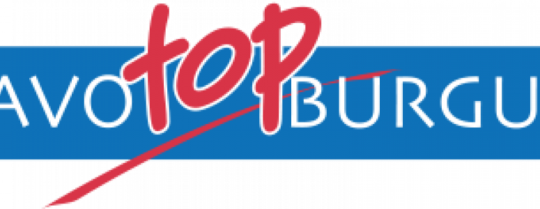 logo havotop