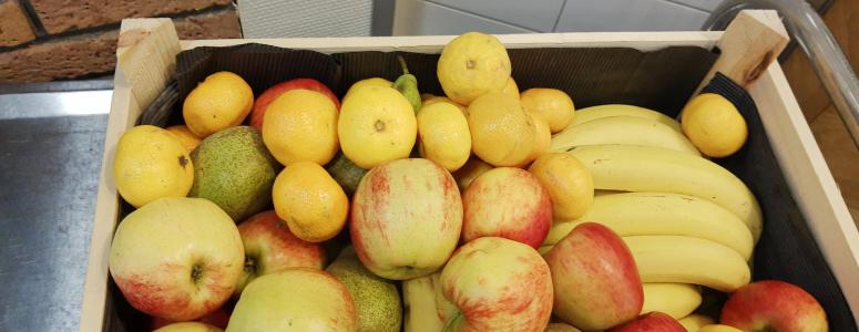 fruit